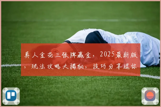 真人金花三张牌赢金，2025最新版，玩法攻略大揭秘，技巧分享逗你赢金