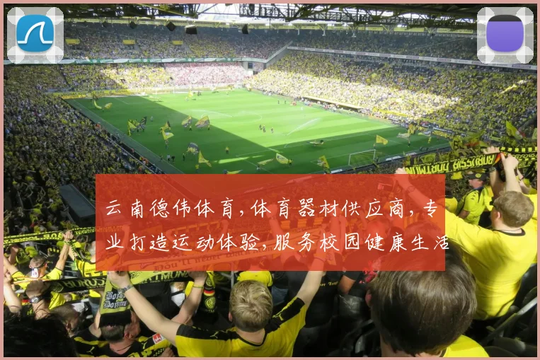 云南德伟体育,体育器材供应商,专业打造运动体验,服务校园健康生活