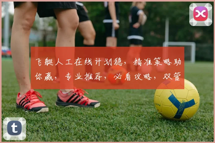 飞艇人工在线计划稳，精准策略助你赢，专业推荐，必看攻略，双管齐下