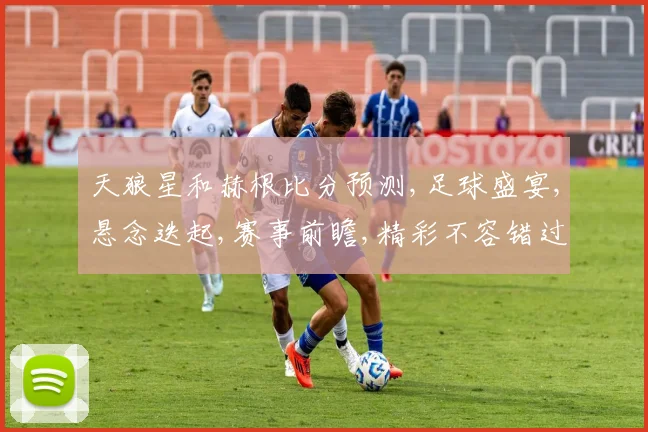 天狼星和赫根比分预测,足球盛宴,悬念迭起,赛事前瞻,精彩不容错过,一触即发