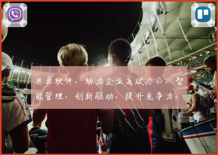开云软件，助力企业高效办公，智能管理，创新驱动，提升竞争力，专业可靠